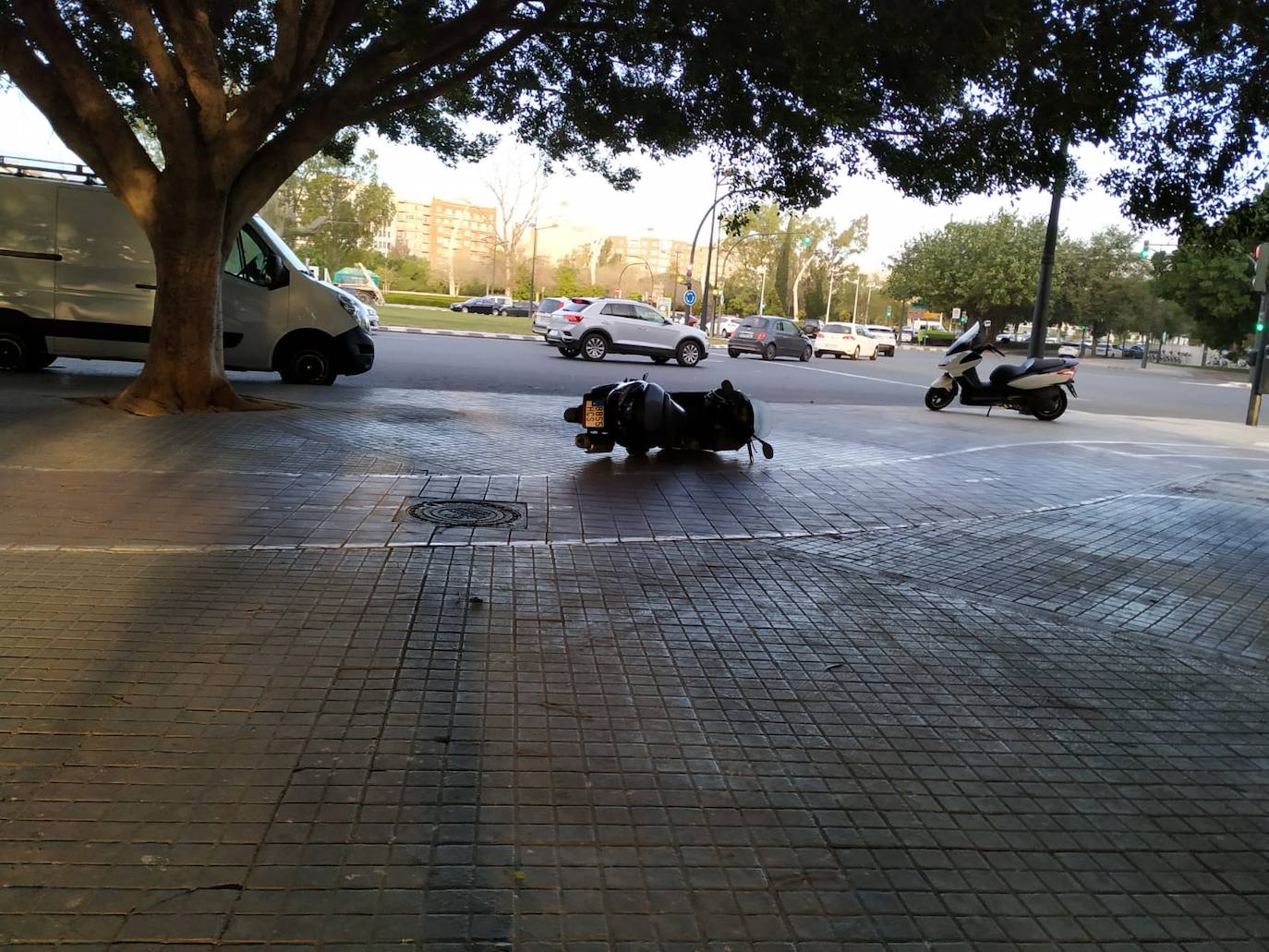 La Comunitat ha inaugurado el mes de marzo con fuertes rachas de viento que han superado los 100 kilómetros por hora y han obligado a decretar la alerta naranja. 