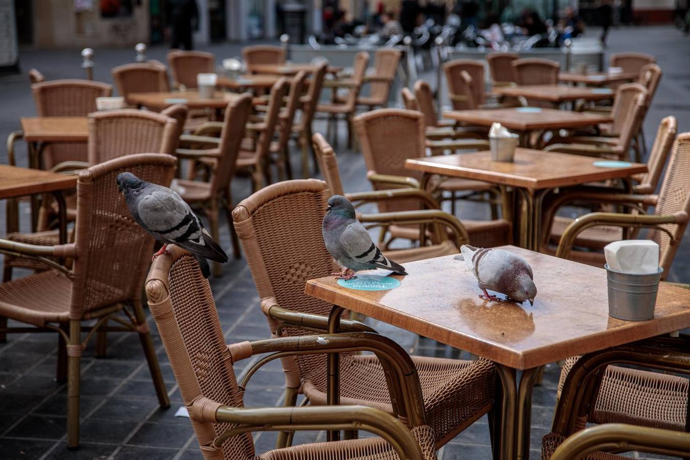 El Gobierno valenciano ha decretado el cierre a partir de las 24:00 horas de este viernes, de todos los bares, restaurantes y zonas de ocio para limitar la propagación y contagio del coronavirus. 