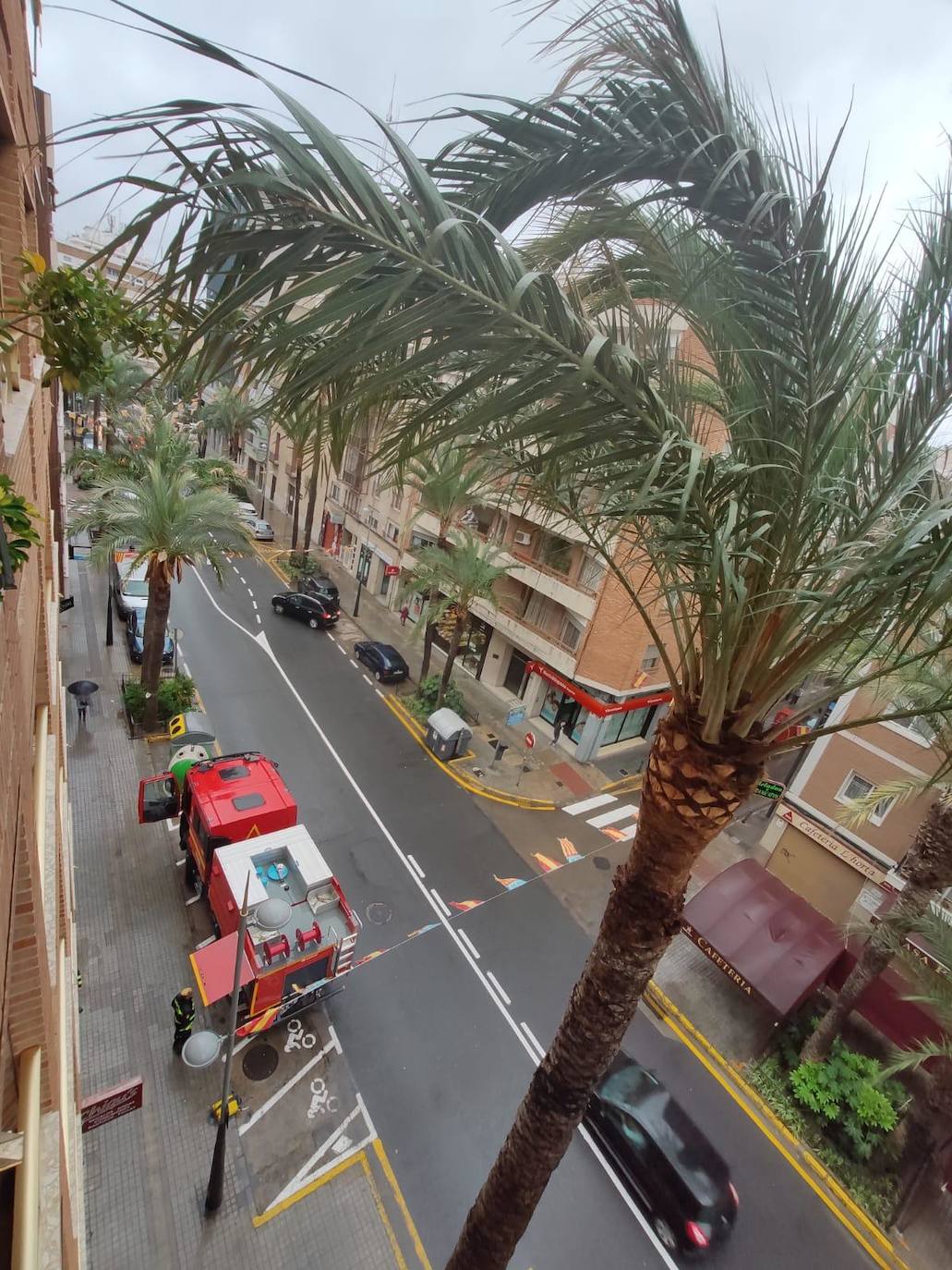 La Unidad Militar de Emergencias (UME) ha estado trabajando esta mañana en Torrent, desinfectando calles. 