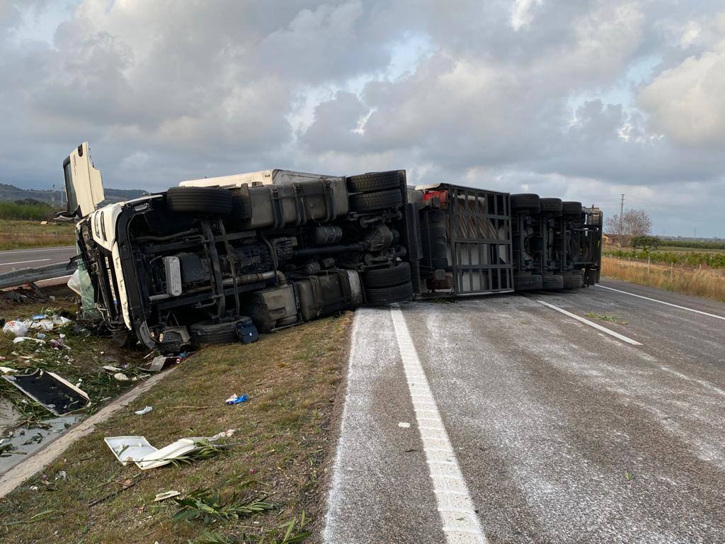 Fotos: Vuelca un camión en un accidente en la AP-7 a la altura de Almenara