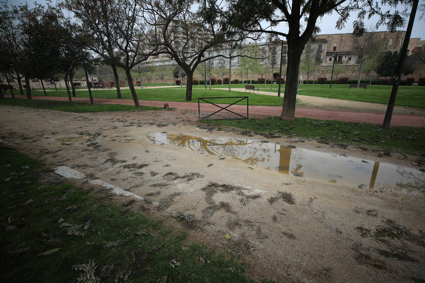 La vida sigue en el cauce del Turia, que ahora es un lugar prohibido.