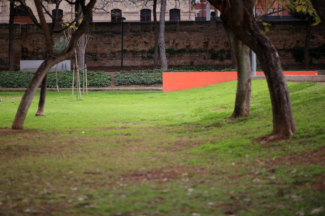 La vida sigue en el cauce del Turia, que ahora es un lugar prohibido.