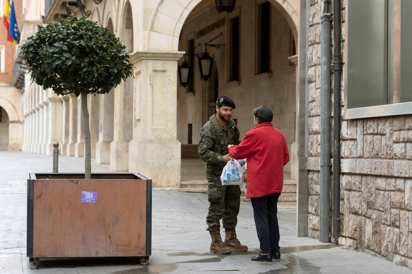 Las Fuerzas Armadas españolas, contra el coronavirus