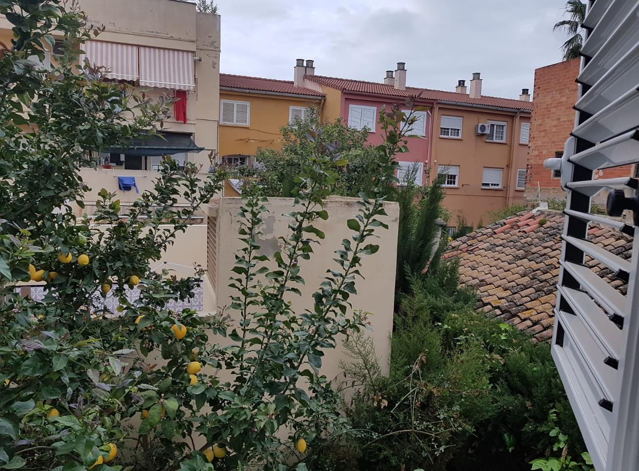 Desde la ventana de Ricardo Ten