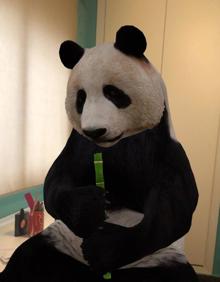 Google 'mete' un tiburón o un panda en nuestra casa: así puedes activar su  nuevo truco