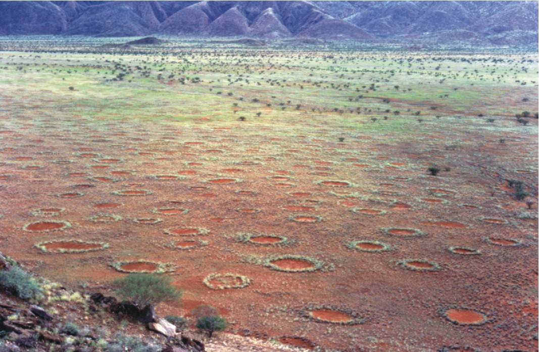 Círculos de hadas (Namibia) | Nadie era capaz de dar una explicación sobre la formación de estos anillos, que además generan hexágonos entre ellos. Se les atribuía un origen mitológico hasta que en 2017 se comprobó que estas formas son el resultado de la interacción entre insectos y vegetación.