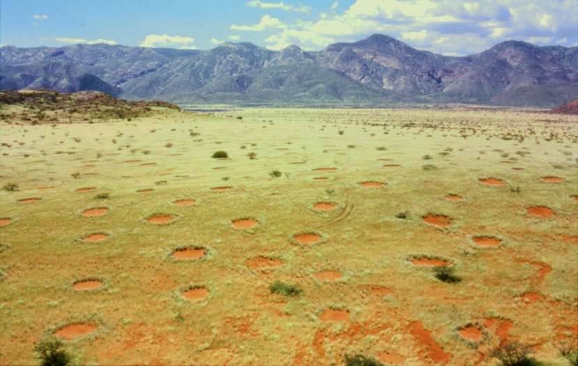 Círculos de hadas (Namibia) | Nadie era capaz de dar una explicación sobre la formación de estos anillos, que además generan hexágonos entre ellos. Se les atribuía un origen mitológico hasta que en 2017 se comprobó que estas formas son el resultado de la interacción entre insectos y vegetación.