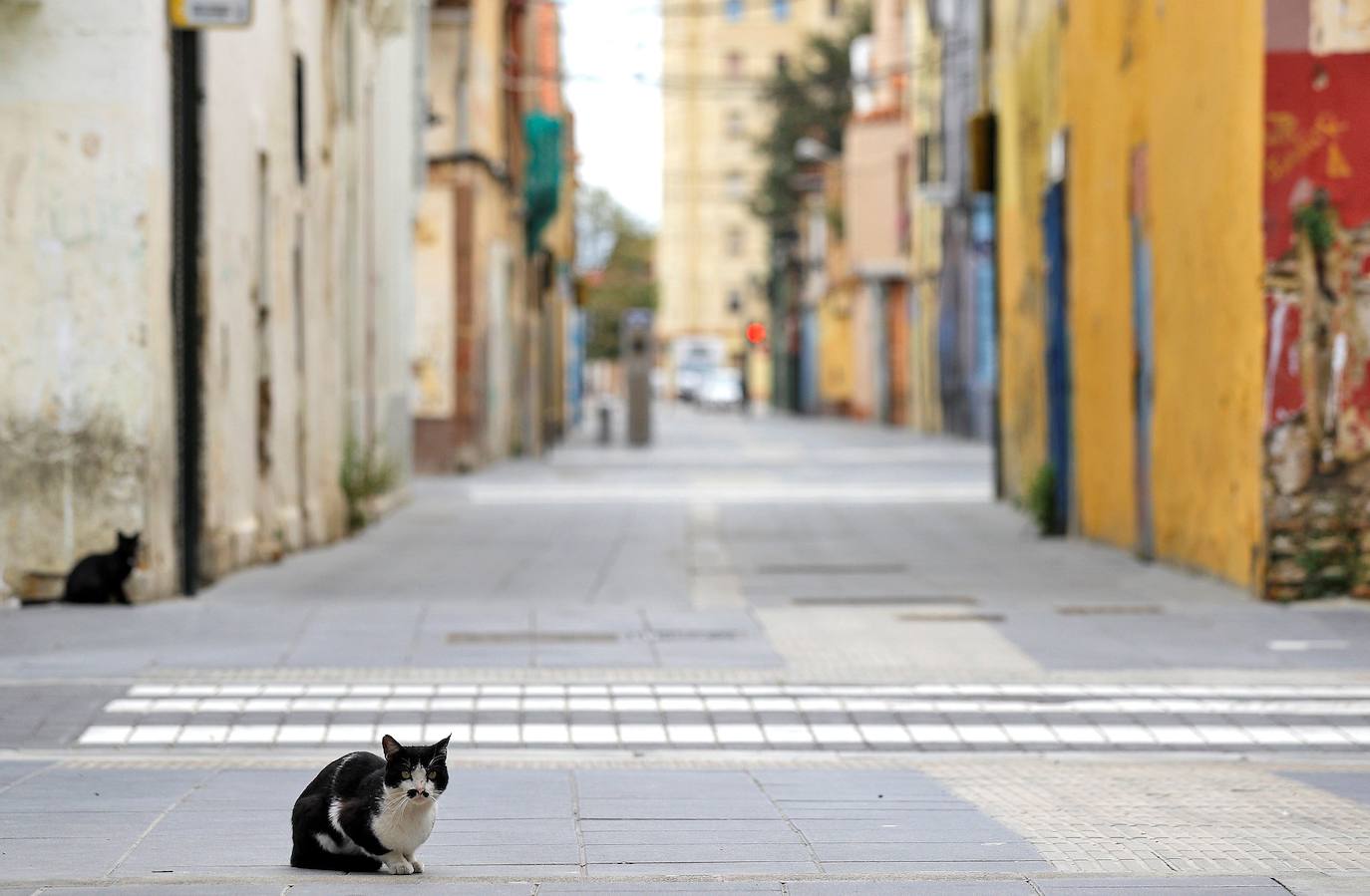 Calles vacías y una ciudad completamente desolada. Es el panorama que vive Valencia desde que el pasado sábado 14 de marzo el presidente del Gobierno, Pedro Sánchez, decretase el estado de alarma para hacer frente a la pandemia del coronavirus. Así está desde hace tres semanas la capital del Turia: 