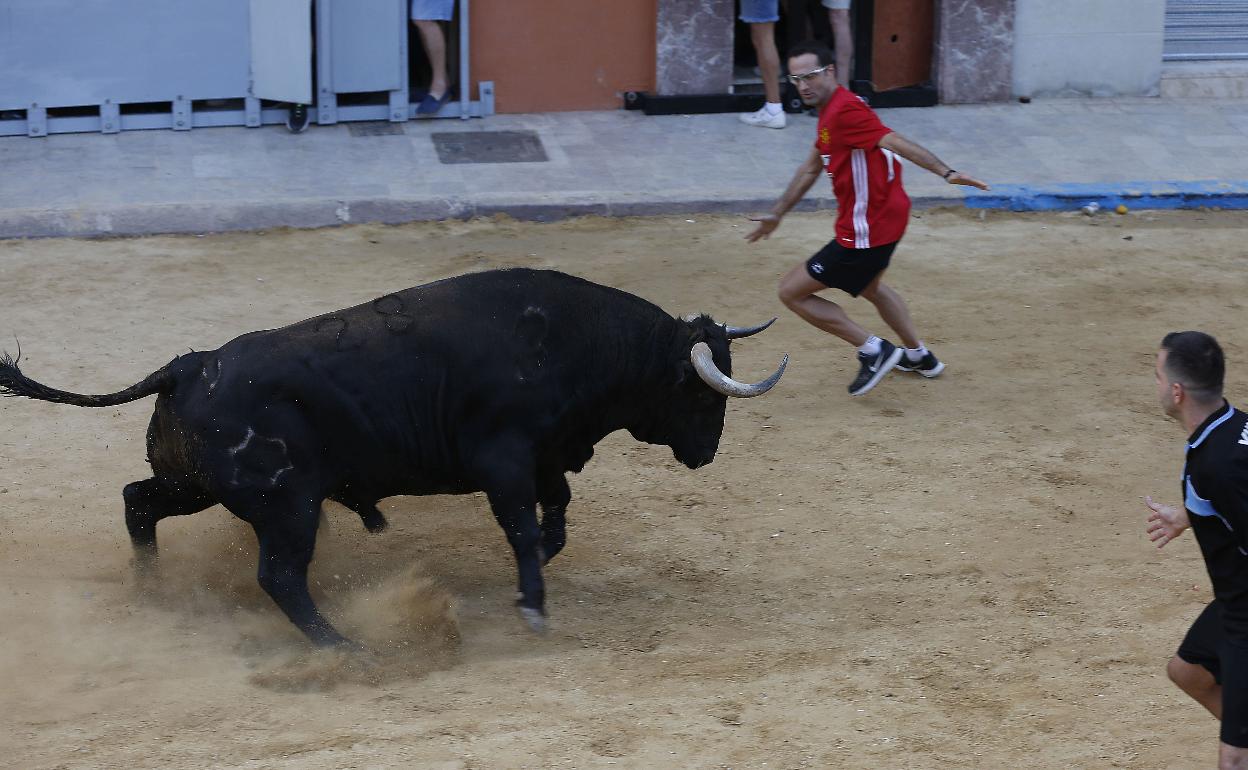 Un festejo de bous al carrer en un municipio de la Comunitat. 