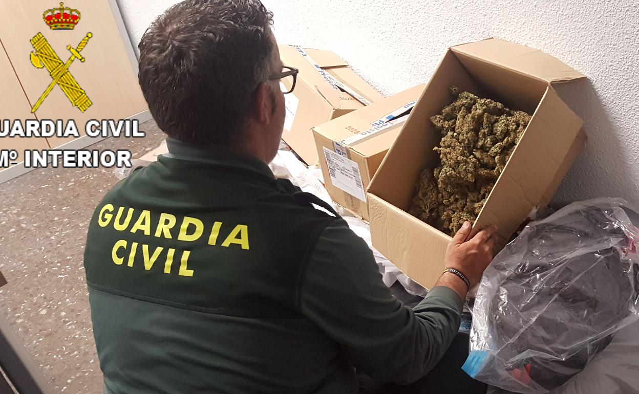 Imagen de archivo de una incautación de marihuana. 