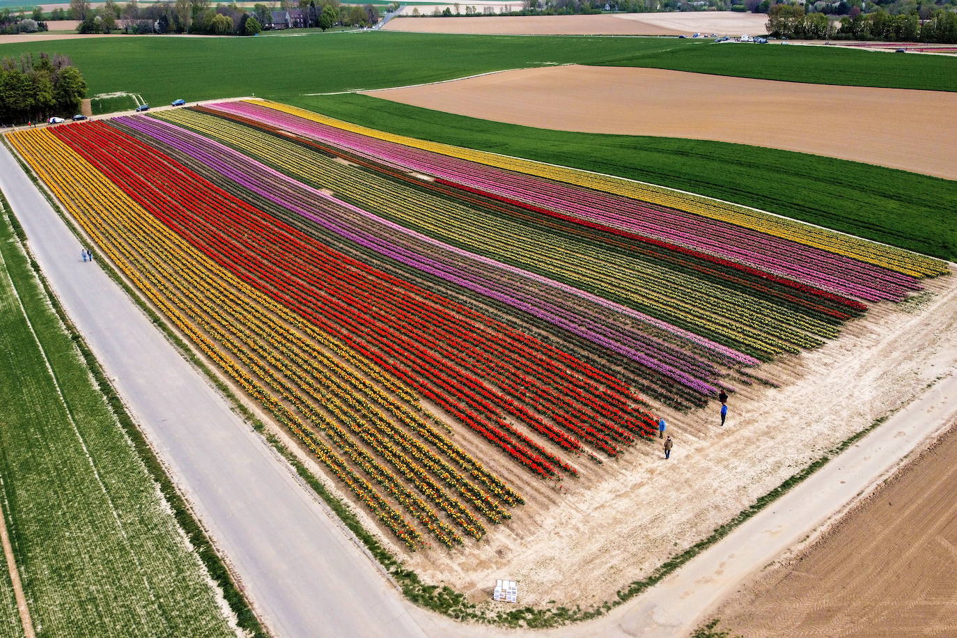 Grevenbroich, en Alemania, cuenta con 100 hectáreas donde reina el color. La primavera ha dejado una larga extensión de formas y tonalidades de todo tipo que se convierten anualmente en un reclamo para amantes de la fotografía y turistas. El colorido jardín es uno de los jardines naturales más grandes del mundo y sus flores configuran paisajes así de espectaculares.