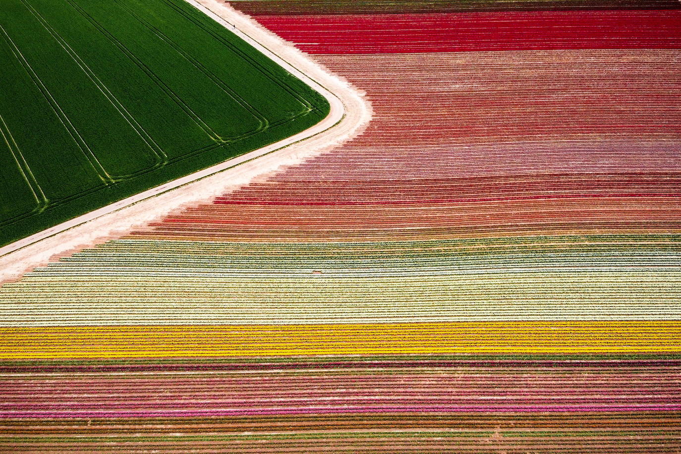 Grevenbroich, en Alemania, cuenta con 100 hectáreas donde reina el color. La primavera ha dejado una larga extensión de formas y tonalidades de todo tipo que se convierten anualmente en un reclamo para amantes de la fotografía y turistas. El colorido jardín es uno de los jardines naturales más grandes del mundo y sus flores configuran paisajes así de espectaculares.