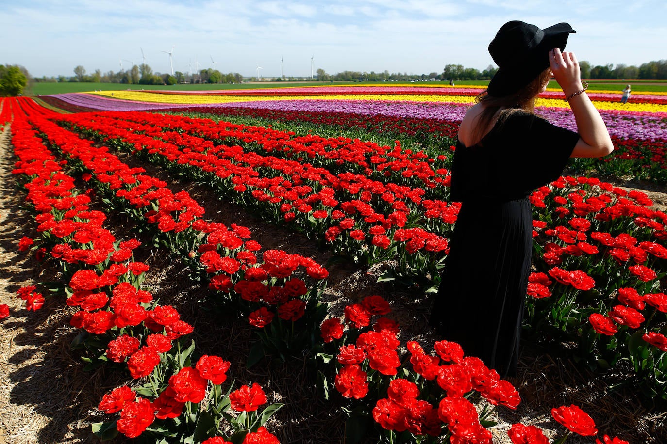 Grevenbroich, en Alemania, cuenta con 100 hectáreas donde reina el color. La primavera ha dejado una larga extensión de formas y tonalidades de todo tipo que se convierten anualmente en un reclamo para amantes de la fotografía y turistas. El colorido jardín es uno de los jardines naturales más grandes del mundo y sus flores configuran paisajes así de espectaculares.