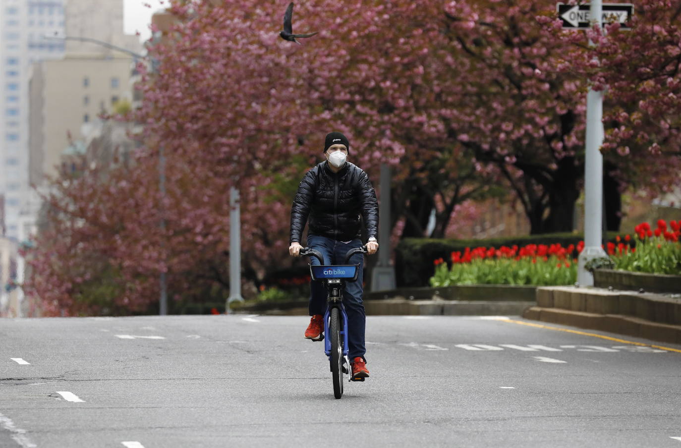 Ya no hay béisbol, ni carruajes de caballos, ni hordas de turistas. Han sido reemplazados por el canto de los pájaros, caminatas solitarias y un renovado aprecio por la belleza del Central Park durante la cuarentena de Nueva York debido al coronavirus. El virus ha matado hasta ahora a más de 12.000 personas en el estado de Nueva York, de un total de más de 223.000 casos confirmados. 