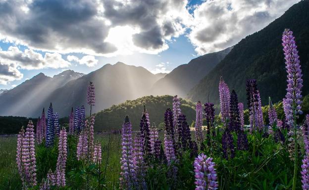 Paisajes de Nueva Zelanda. 