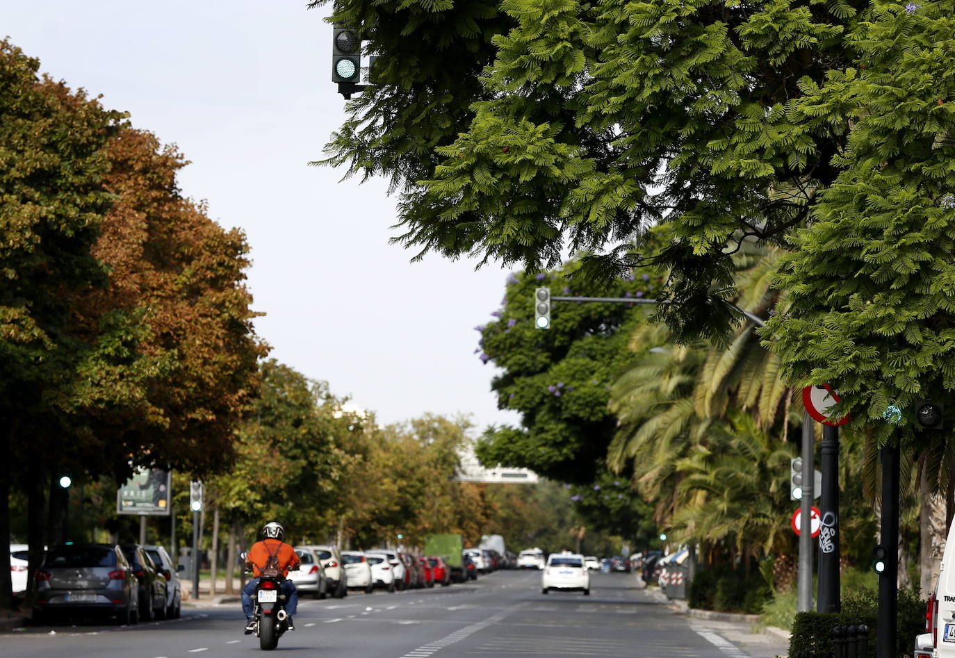 Entorno de la avenida Blasco Ibáñez