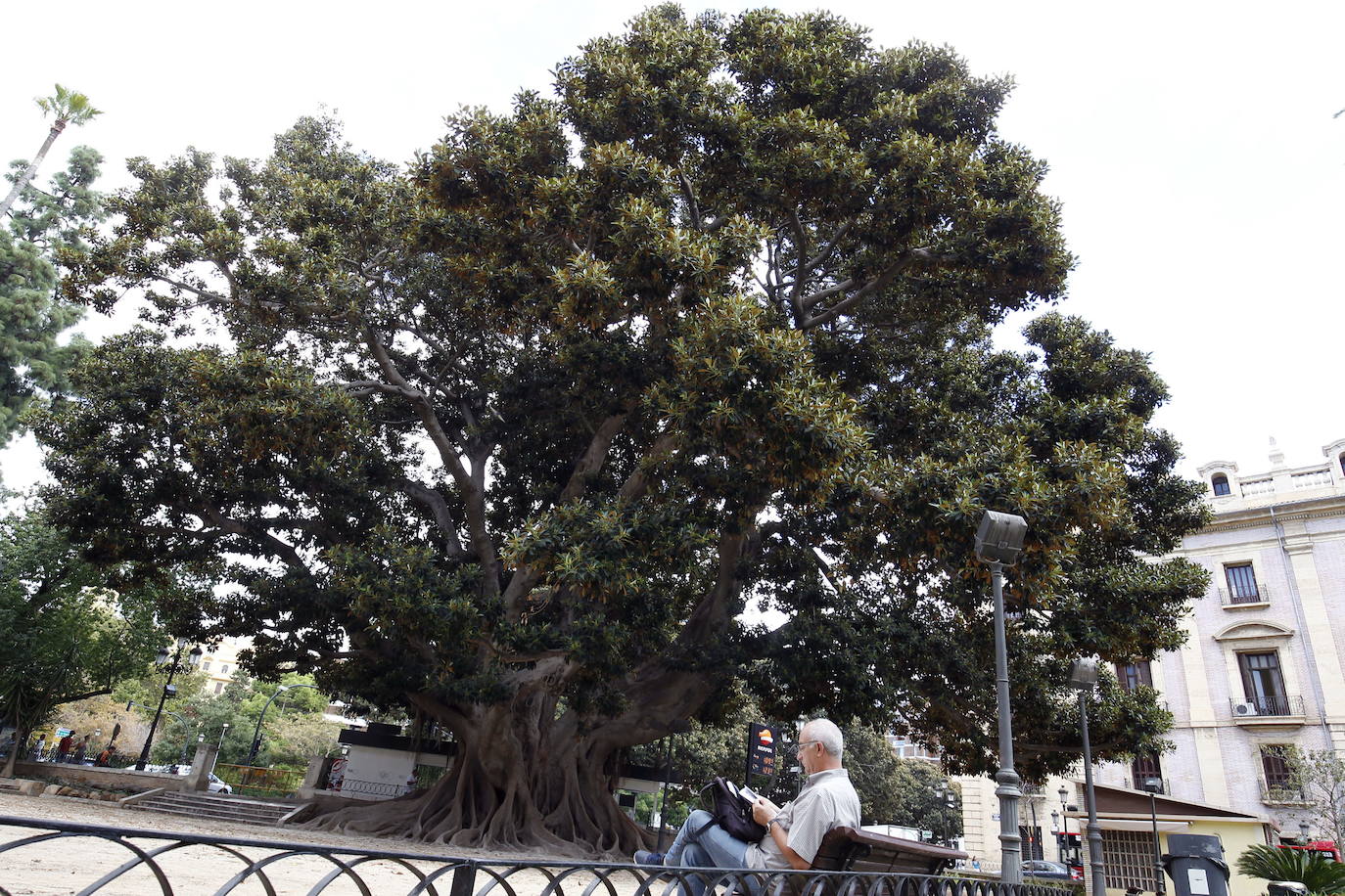 Plaza del Parterre