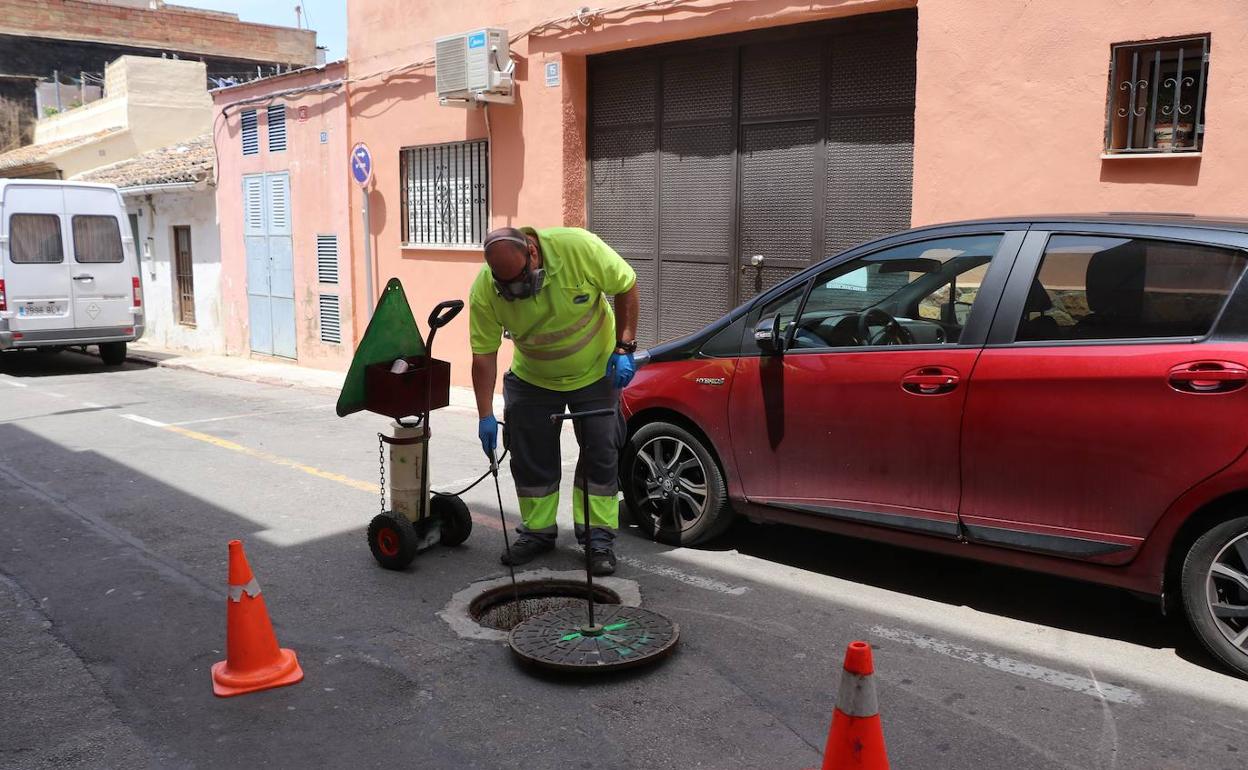 Un trabajador aplica el tratamiento contra le mosquito tigre. 