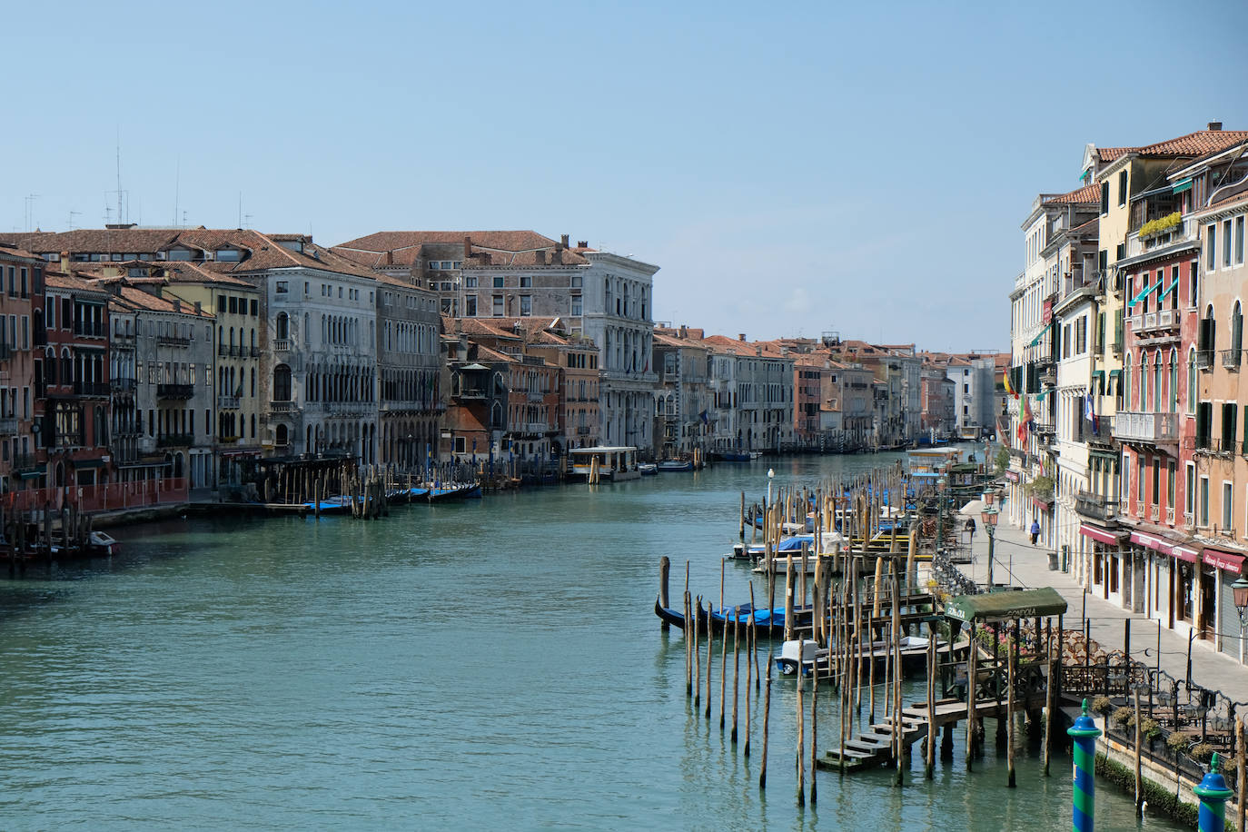 La pandemia del coronavirus ha dejado Venecia más solitaria y bella que nunca. Sin turistas desde principios de marzo, el agua ya no es removida por los miles de barcos, taxis, vaporetti, góndolas y embarcaciones privadas que lo hacen habitualmente. Algunos animales que estaban relegados en los canales más grandes o más amplios, pueden moverse ahora hasta el centro histórico de esta ciudad mágica. 