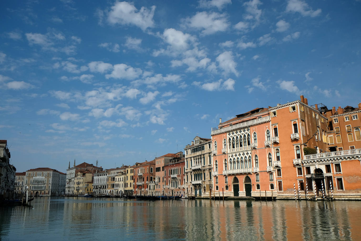 La pandemia del coronavirus ha dejado Venecia más solitaria y bella que nunca. Sin turistas desde principios de marzo, el agua ya no es removida por los miles de barcos, taxis, vaporetti, góndolas y embarcaciones privadas que lo hacen habitualmente. Algunos animales que estaban relegados en los canales más grandes o más amplios, pueden moverse ahora hasta el centro histórico de esta ciudad mágica. 