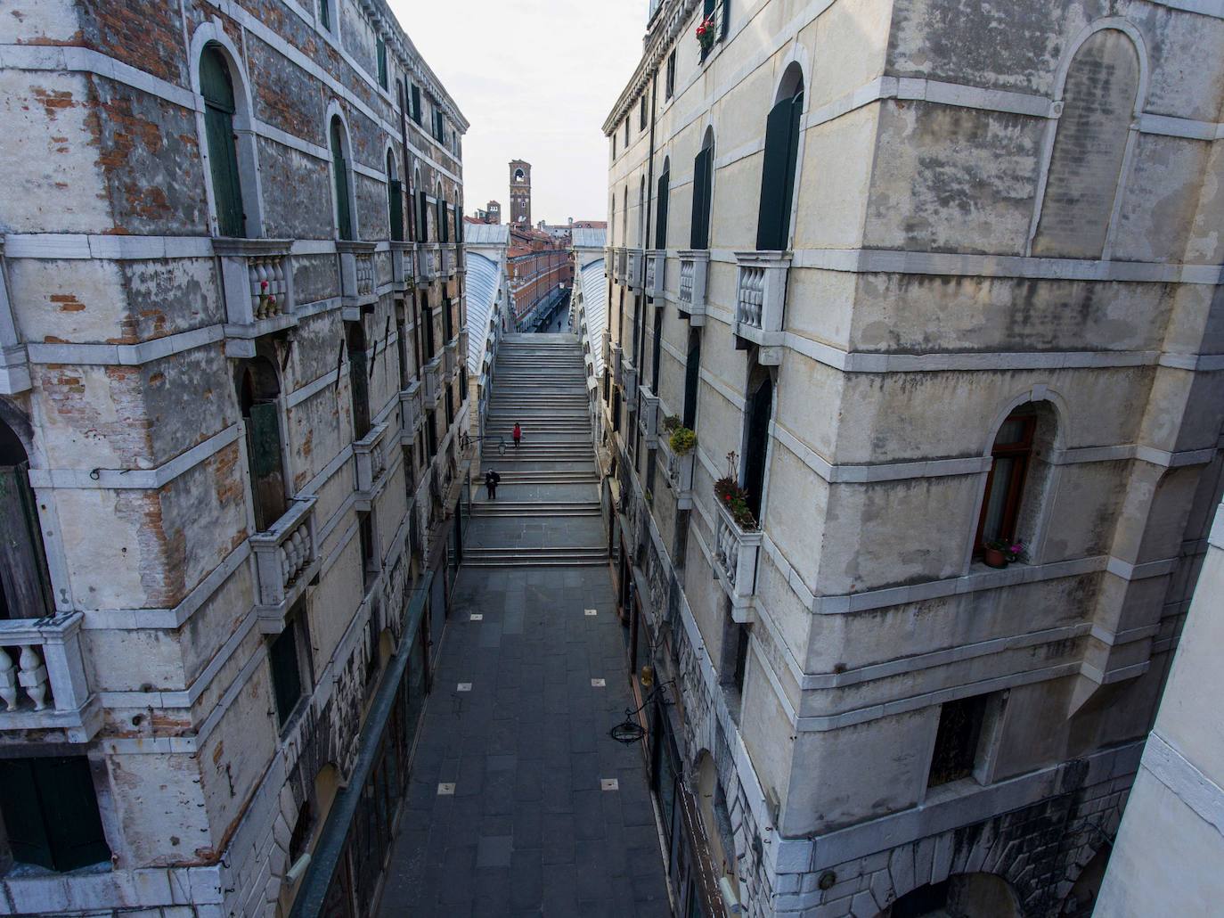 La pandemia del coronavirus ha dejado Venecia más solitaria y bella que nunca. Sin turistas desde principios de marzo, el agua ya no es removida por los miles de barcos, taxis, vaporetti, góndolas y embarcaciones privadas que lo hacen habitualmente. Algunos animales que estaban relegados en los canales más grandes o más amplios, pueden moverse ahora hasta el centro histórico de esta ciudad mágica. 