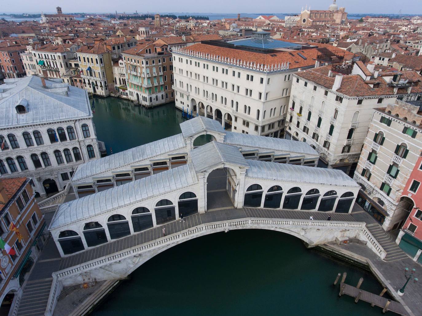 La pandemia del coronavirus ha dejado Venecia más solitaria y bella que nunca. Sin turistas desde principios de marzo, el agua ya no es removida por los miles de barcos, taxis, vaporetti, góndolas y embarcaciones privadas que lo hacen habitualmente. Algunos animales que estaban relegados en los canales más grandes o más amplios, pueden moverse ahora hasta el centro histórico de esta ciudad mágica. 