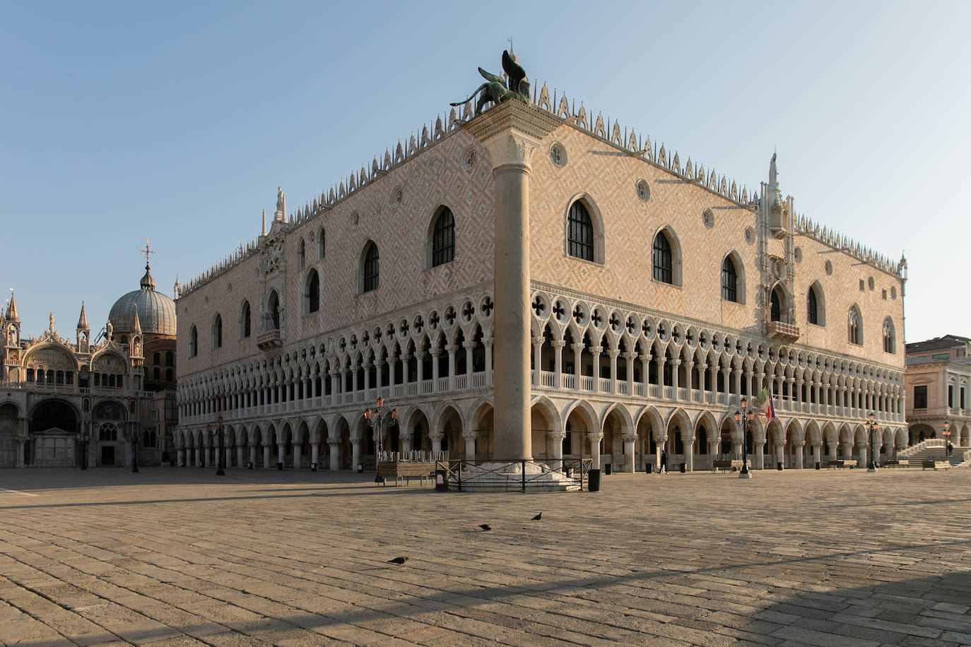 La pandemia del coronavirus ha dejado Venecia más solitaria y bella que nunca. Sin turistas desde principios de marzo, el agua ya no es removida por los miles de barcos, taxis, vaporetti, góndolas y embarcaciones privadas que lo hacen habitualmente. Algunos animales que estaban relegados en los canales más grandes o más amplios, pueden moverse ahora hasta el centro histórico de esta ciudad mágica. 