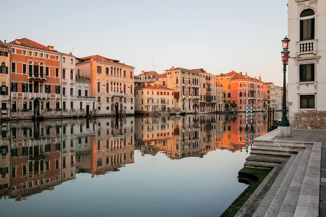 La pandemia del coronavirus ha dejado Venecia más solitaria y bella que nunca. Sin turistas desde principios de marzo, el agua ya no es removida por los miles de barcos, taxis, vaporetti, góndolas y embarcaciones privadas que lo hacen habitualmente. Algunos animales que estaban relegados en los canales más grandes o más amplios, pueden moverse ahora hasta el centro histórico de esta ciudad mágica. 