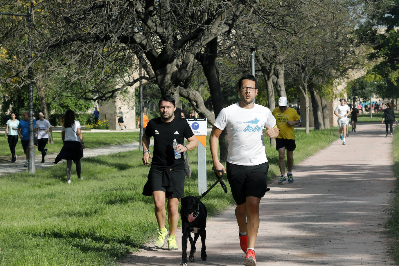 Fotos: Ciclistas, corredores y paseantes llenan de vida Valencia