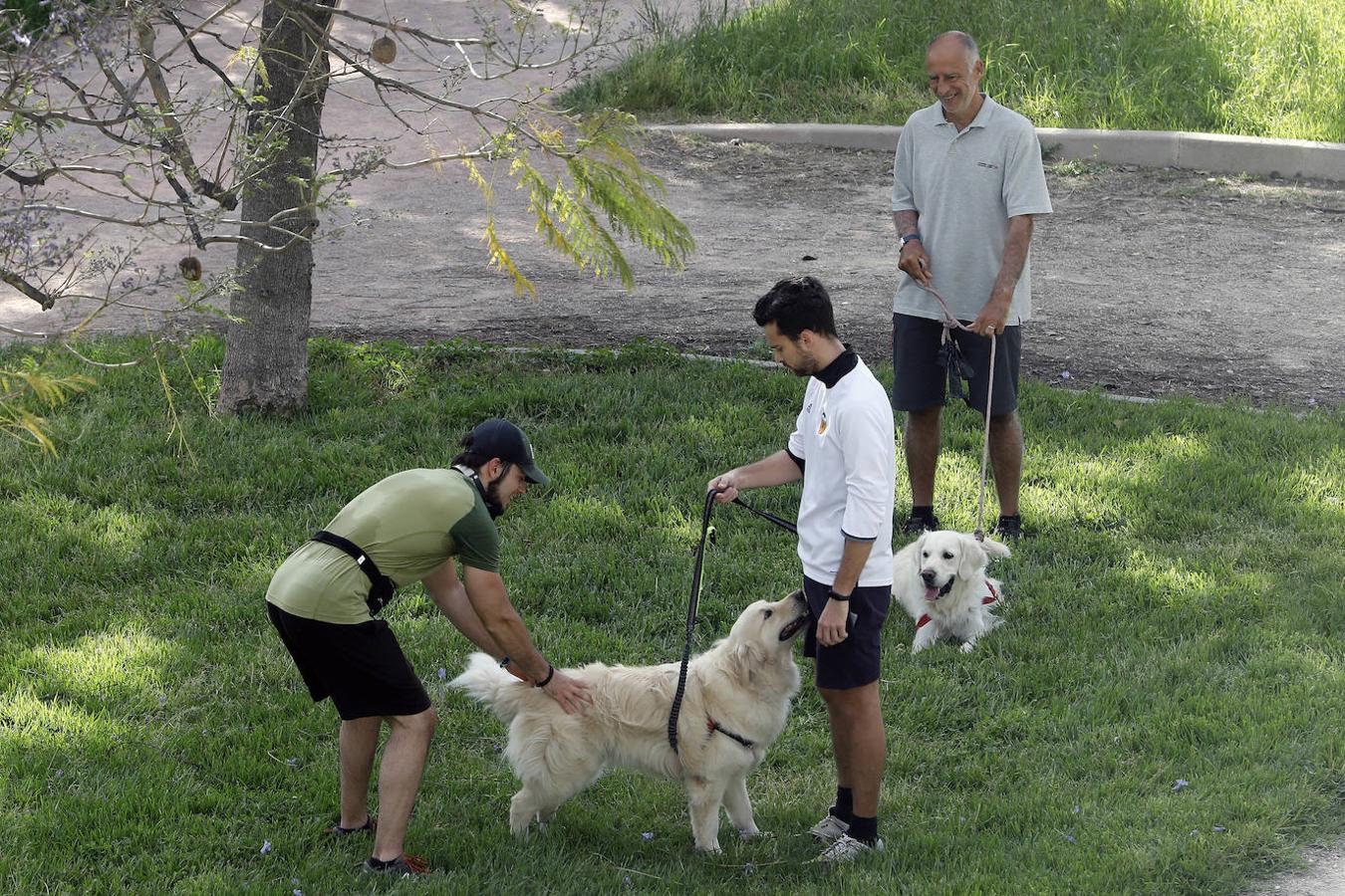 Fotos: Ciclistas, corredores y paseantes llenan de vida Valencia