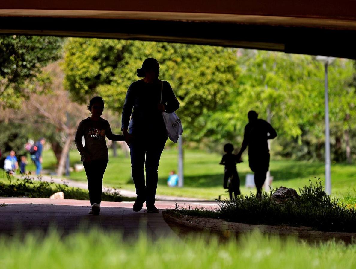 Fotos: Ciclistas, corredores y paseantes llenan de vida Valencia