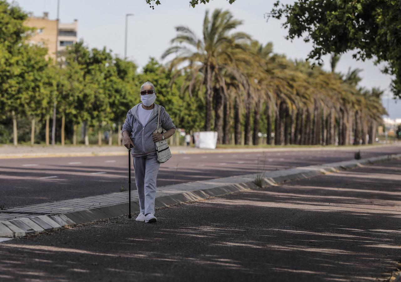 Fotos: Ciclistas, corredores y paseantes llenan de vida Valencia