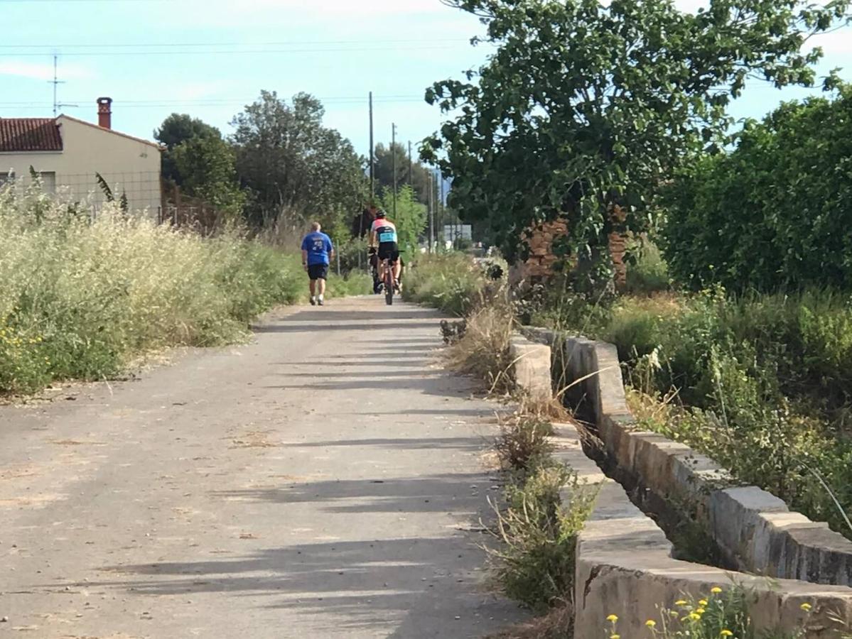 Fotos: Ciclistas, corredores y paseantes llenan de vida Valencia