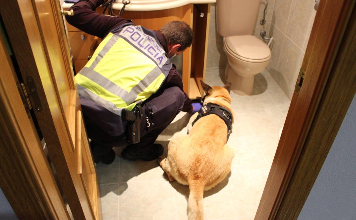 Un agente de la Policía Nacional y un guía canino durante el registro. 