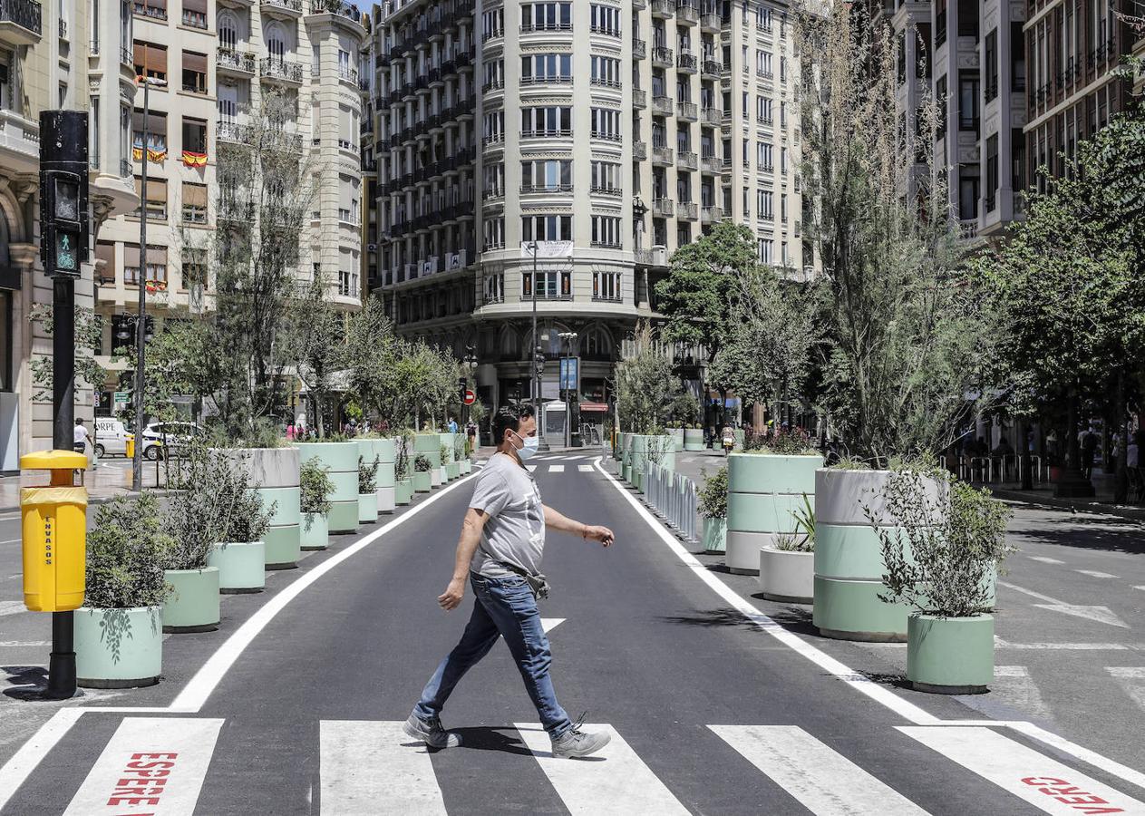 Fotos: Maceteros de la plaza del Ayuntamiento de Valencia