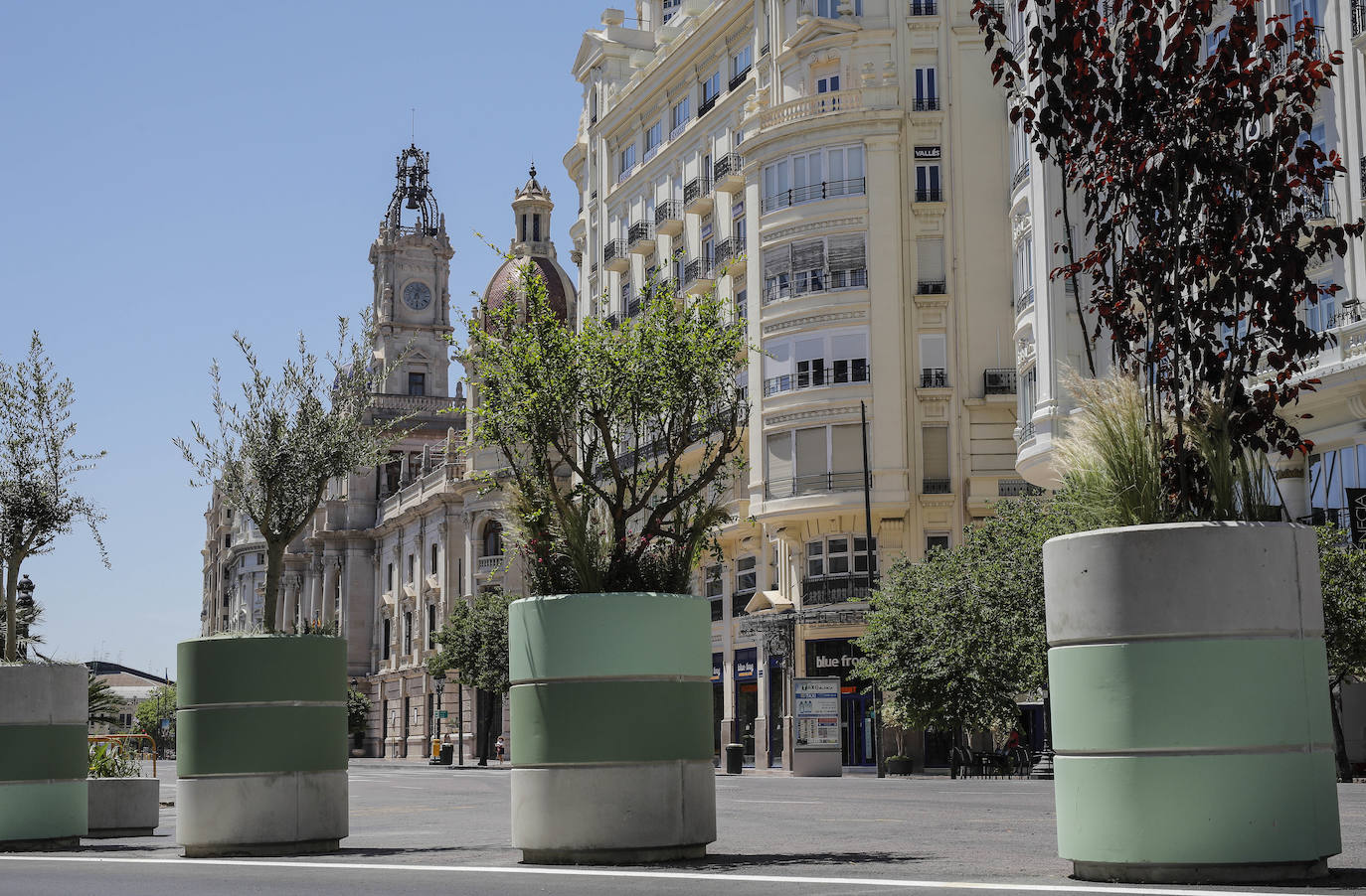 Fotos: Maceteros de la plaza del Ayuntamiento de Valencia