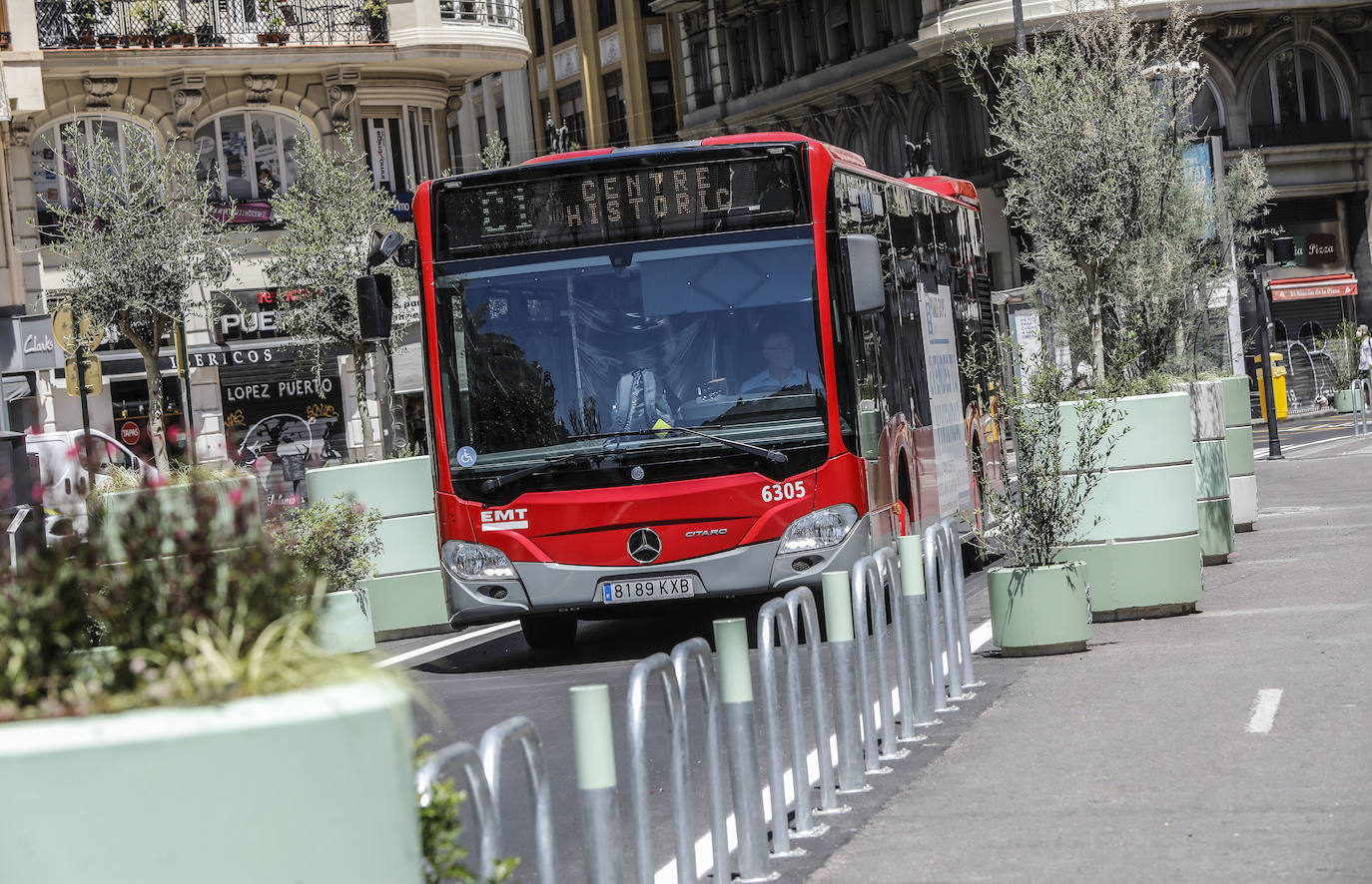 Fotos: Maceteros de la plaza del Ayuntamiento de Valencia