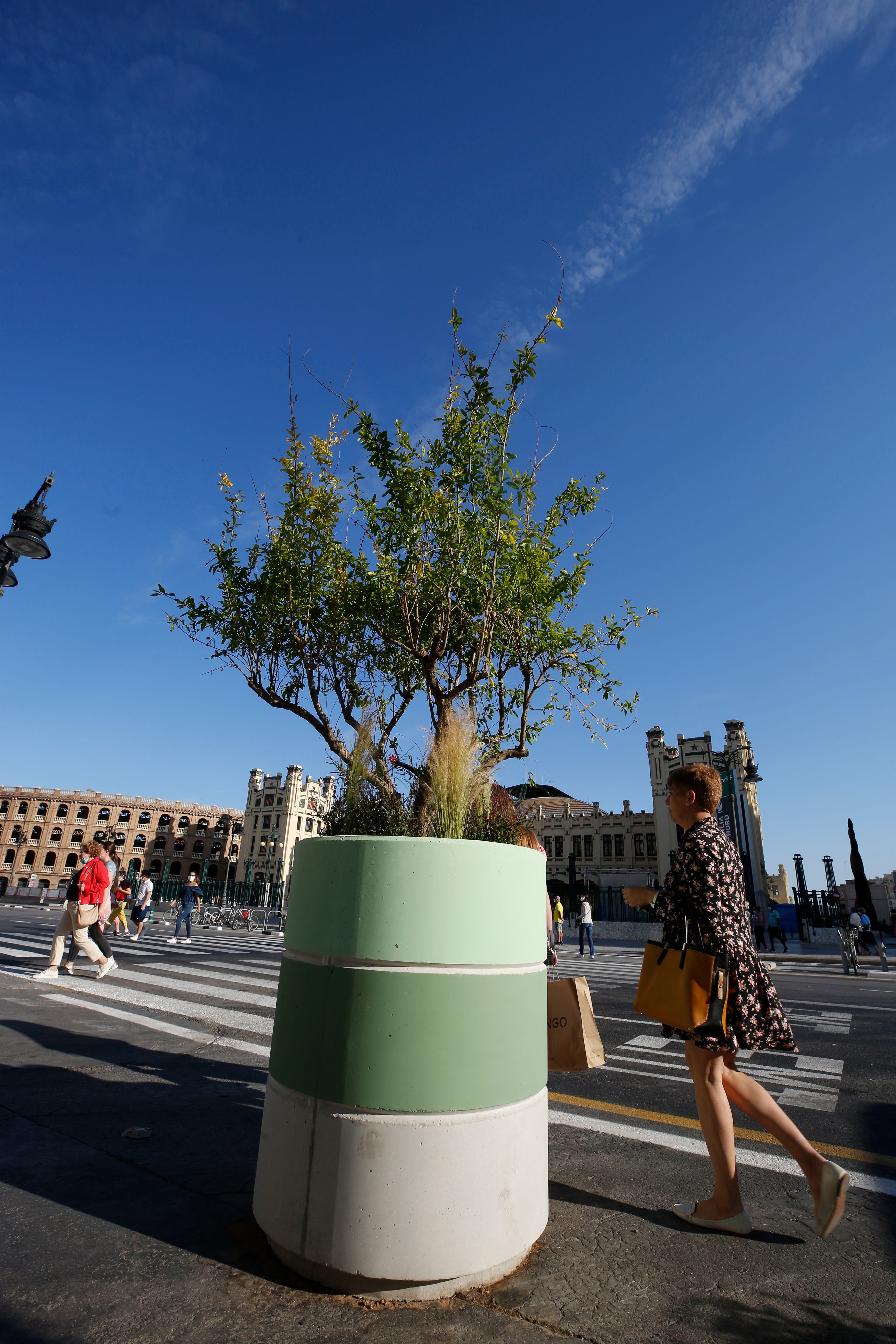 Fotos: Maceteros de la plaza del Ayuntamiento de Valencia