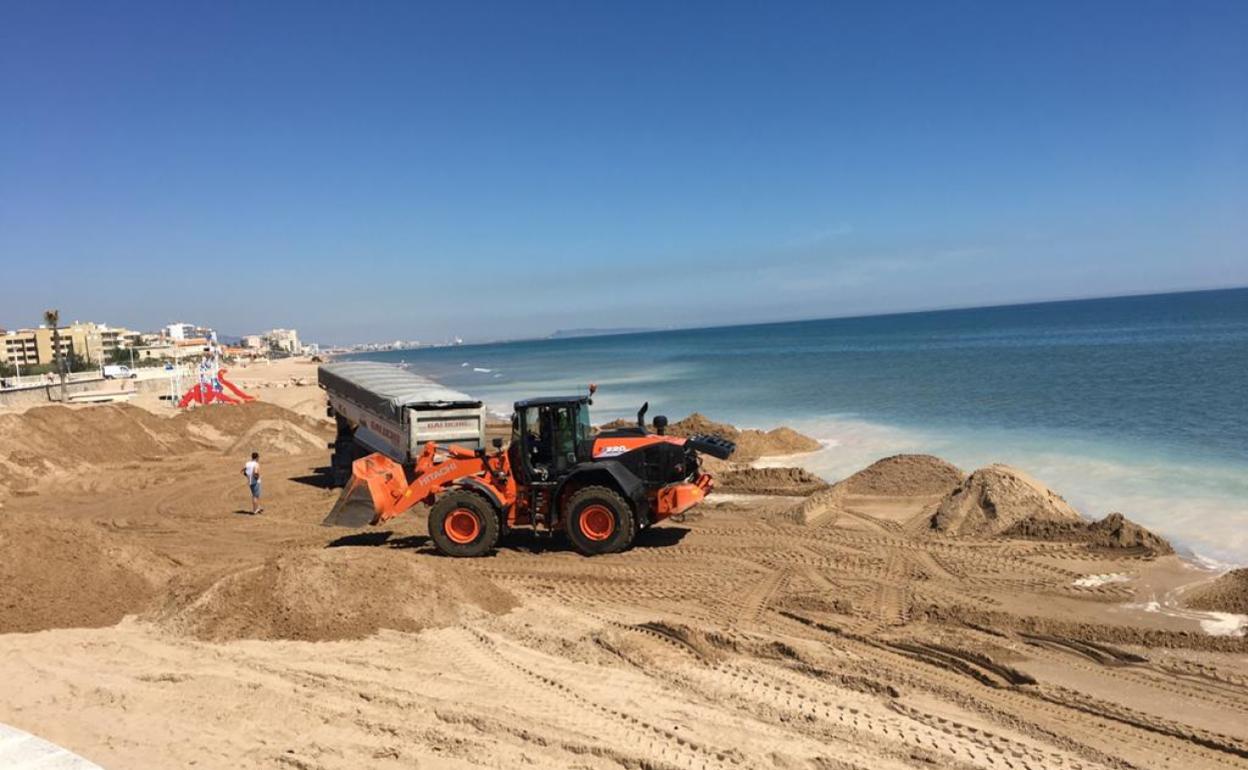 Una máquina reparte en la playa de Piles los áridos procedentes del litoral de Xeraco. 