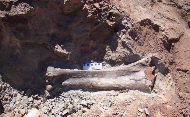 Imagen principal - Imágenes de la excavación del saurópodo de Masía Palau en Morella. 