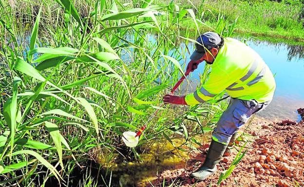 Lokímica refuerza su estructura para combatir los mosquitos
