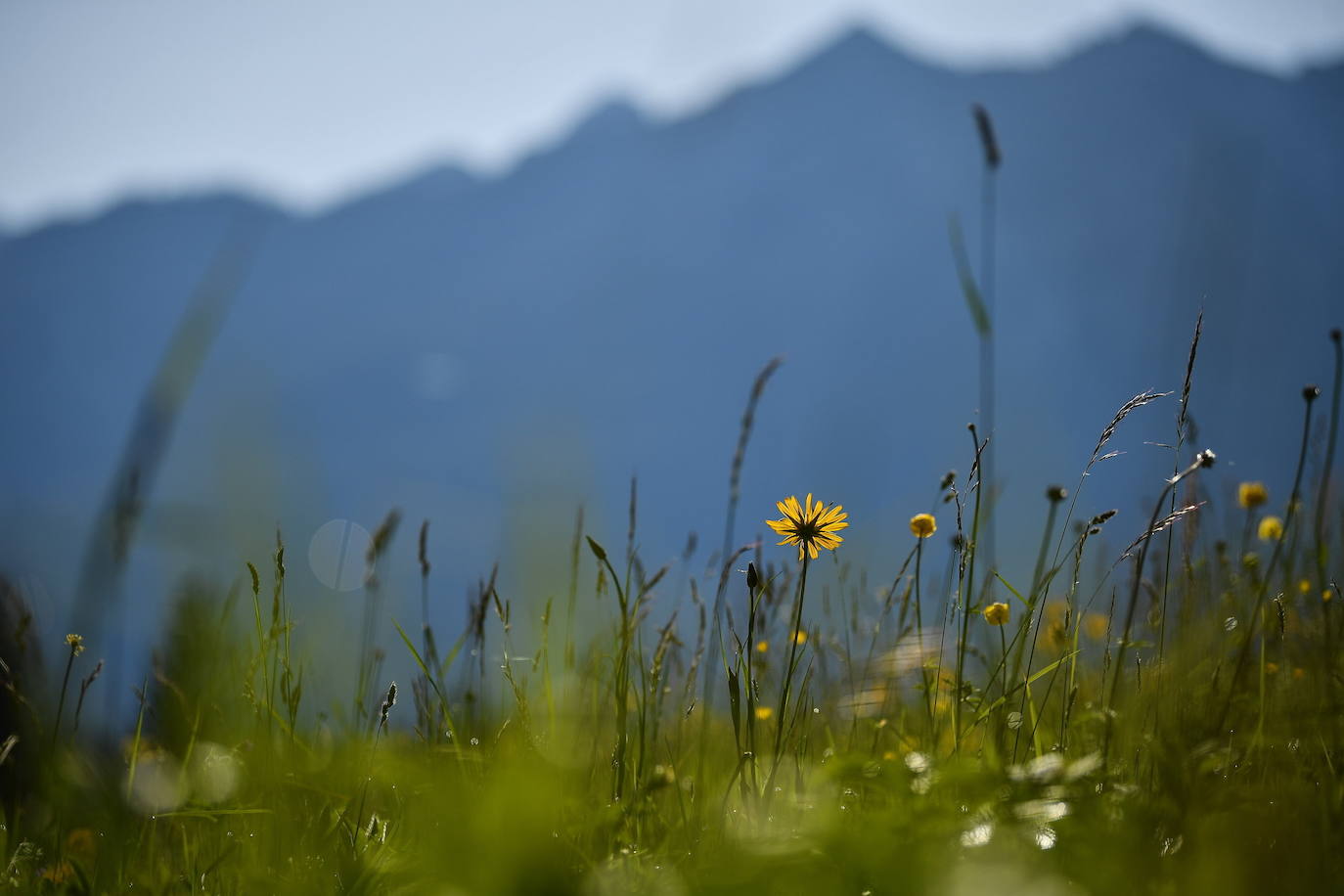 El verano llega a los Alpes y su paisaje se vuelve aún más espectacular. Los turistas que visitan la zona en esta época del año pueden disfrutar del verde del entorno y el deporte en sus aguas, en un ambiente alejado del bullicio donde descansar y conectar con la naturaleza.