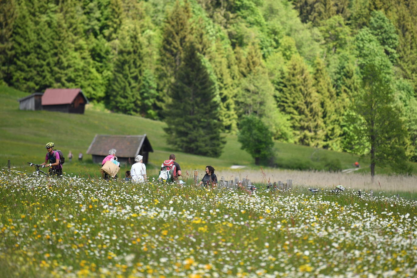 El verano llega a los Alpes y su paisaje se vuelve aún más espectacular. Los turistas que visitan la zona en esta época del año pueden disfrutar del verde del entorno y el deporte en sus aguas, en un ambiente alejado del bullicio donde descansar y conectar con la naturaleza.