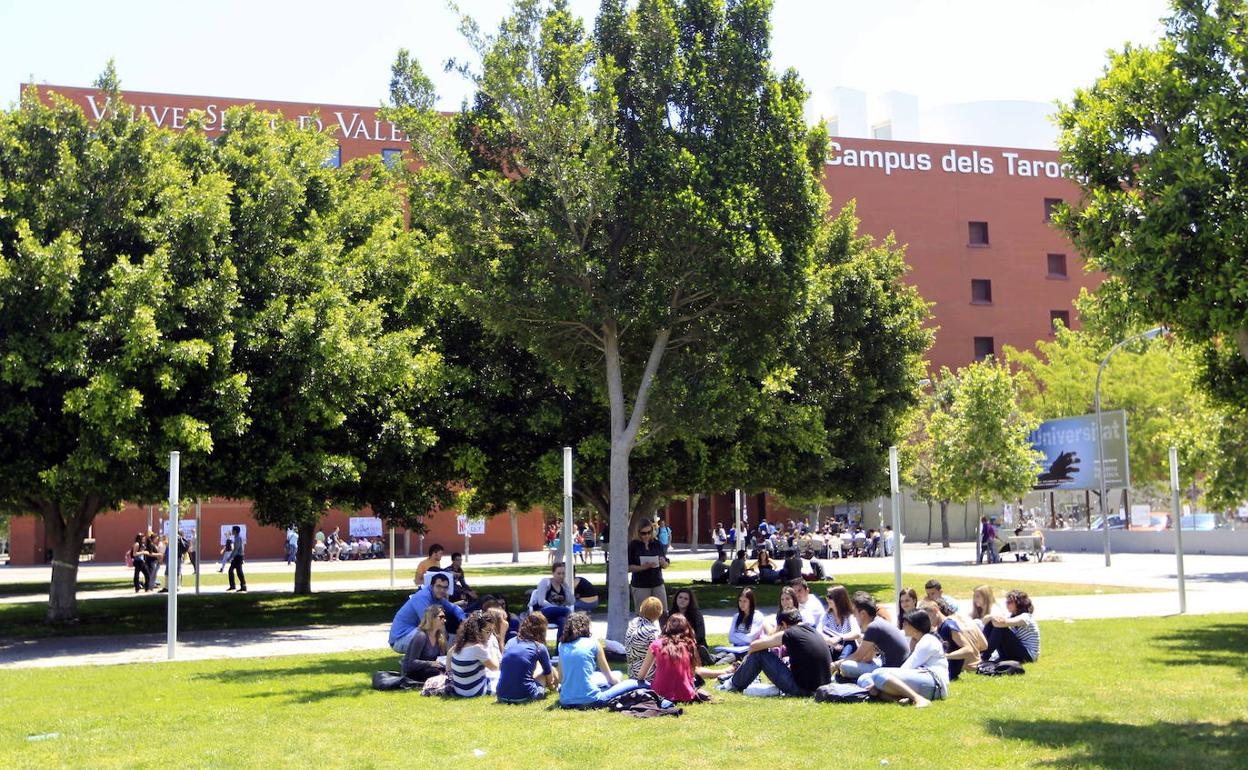 Alumnos en el campus de Tarongers, en una foto de archivo. 