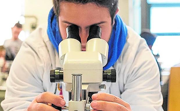 Más de medio millón de euros, en becas y ayudas propias.