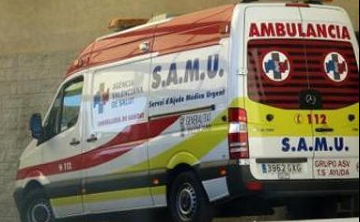 Un perro muerde en la cara a un hombre en Gilet