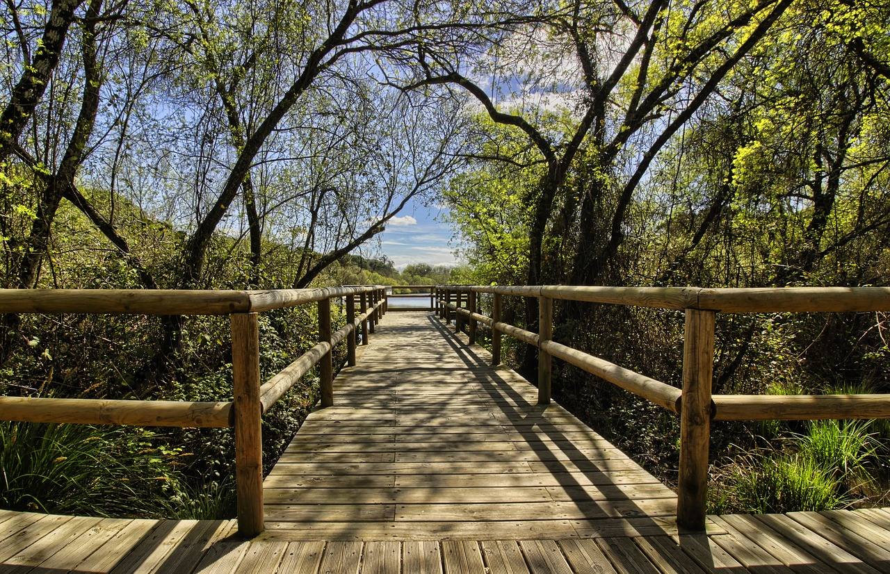 5.- Parque Nacional de Doñana (Andalucía) | El Parque Nacional de Doñana es un mosaico de ecosistemas que albergan una biodiversidad única en Europa. Destaca sobre todo la marisma, de extraordinaria importancia como lugar de paso, cría e invernada para miles de aves europeas y africanas. 