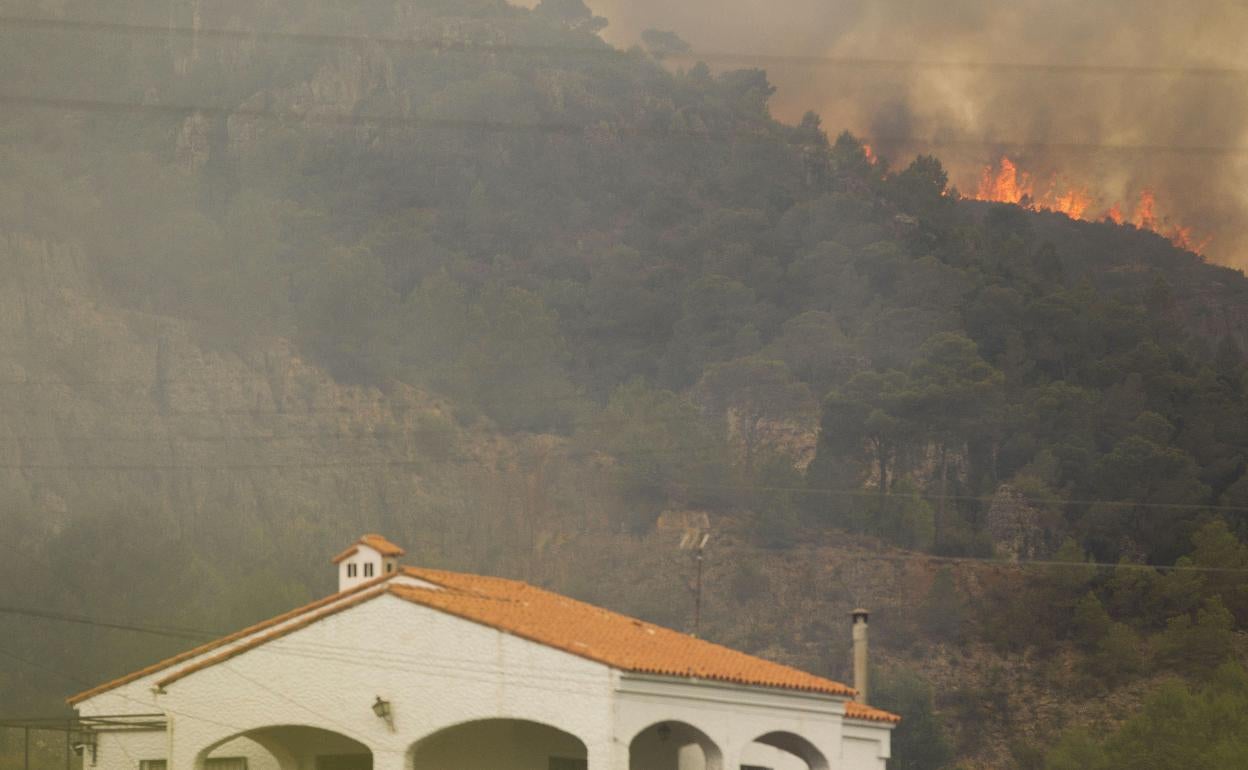 El fuego arrasó el 80% de la masa forestal de Carcaixent.