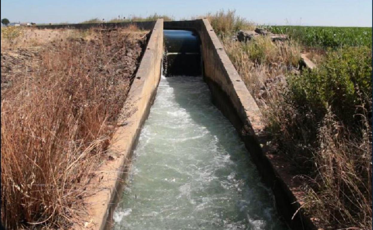 Canal de riego de Orellana en la comarca de Vegas Altas, donde murieron ahogados dos adolescentes. 