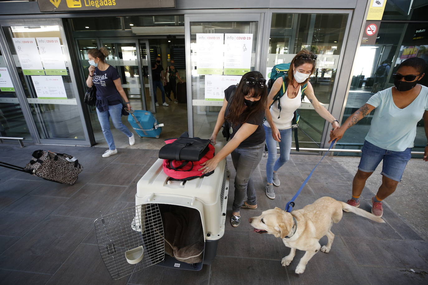 El aeropuerto de Valencia ha comenzado a operar con cierta normalidad tras la apertura de las fronteras dentro de los países Schengen. 